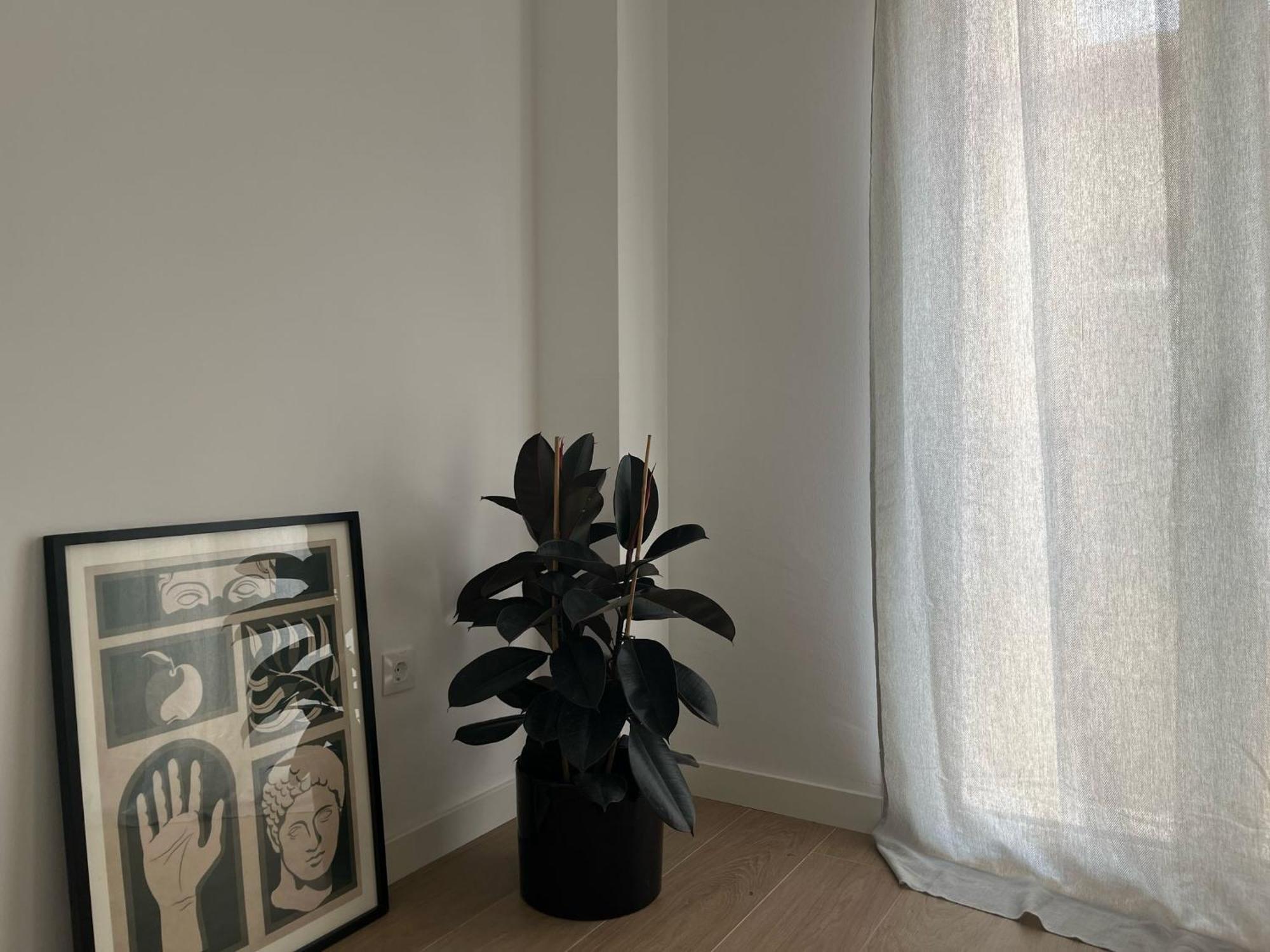 Galera Donkey Terraza Privada Apartamento Sevilla